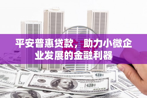 海兴平安普惠贷款，助力小微企业发展的金融利器