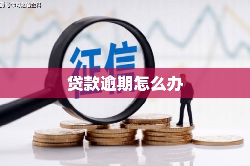 海兴贷款逾期怎么办