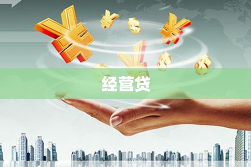 海兴经营贷