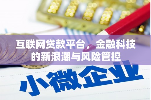 海兴互联网贷款平台，金融科技的新浪潮与风险管控