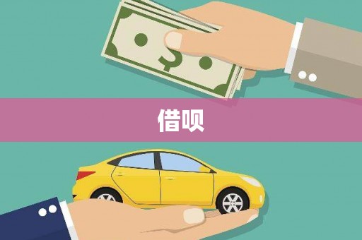 海兴借呗