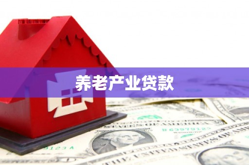 海兴养老产业贷款