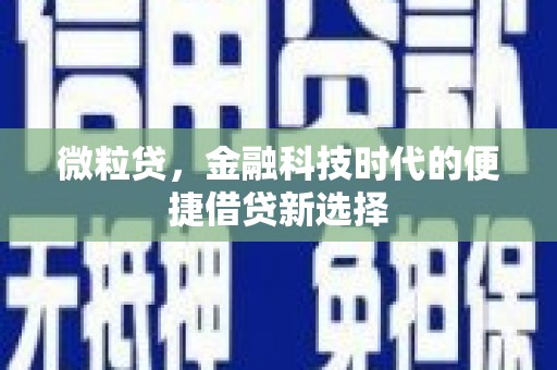 海兴微粒贷，金融科技时代的便捷借贷新选择