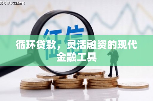 海兴循环贷款，灵活融资的现代金融工具
