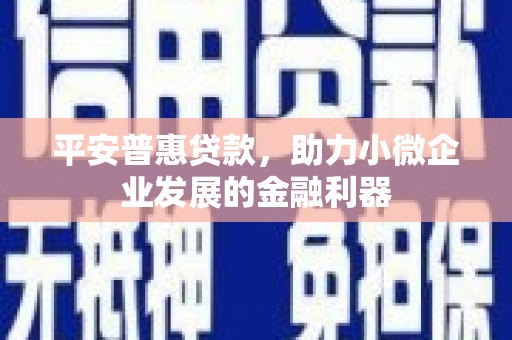 海兴平安普惠贷款，助力小微企业发展的金融利器