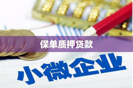 海兴保单质押贷款