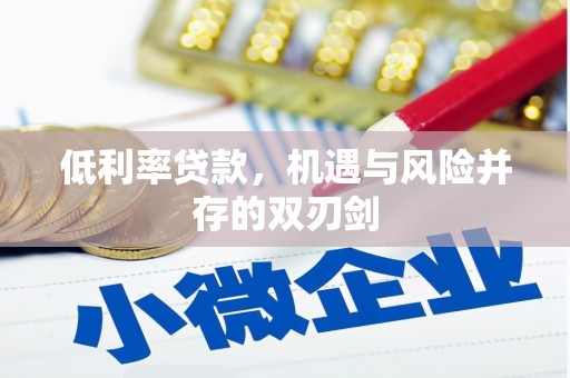 海兴低利率贷款，机遇与风险并存的双刃剑