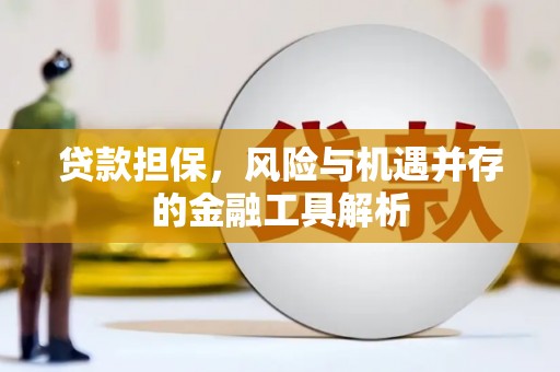 海兴贷款担保，风险与机遇并存的金融工具解析