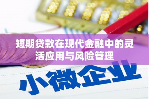 海兴短期贷款在现代金融中的灵活应用与风险管理