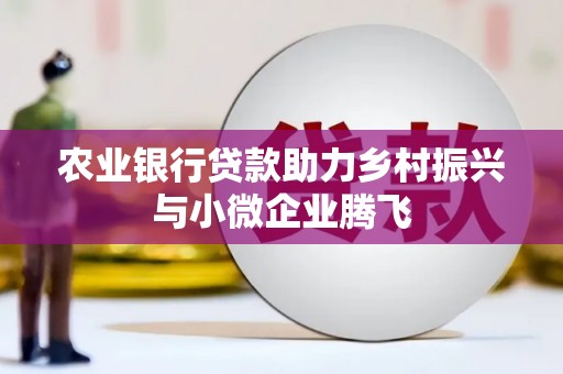 海兴农业银行贷款助力乡村振兴与小微企业腾飞