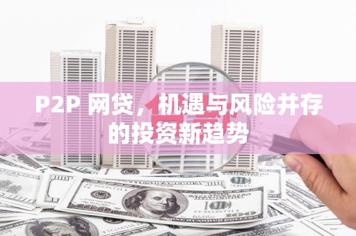 海兴P2P 网贷，机遇与风险并存的投资新趋势