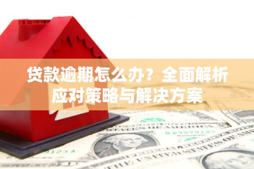海兴贷款逾期怎么办？全面解析应对策略与解决方案
