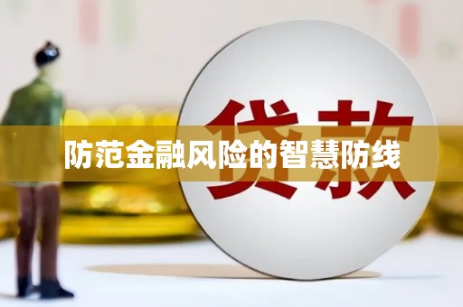 海兴防范金融风险的智慧防线