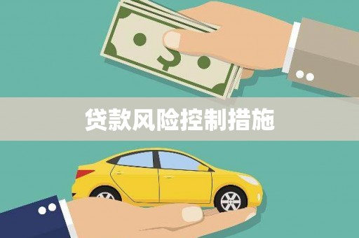 海兴贷款风险控制措施