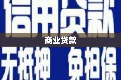 海兴商业贷款
