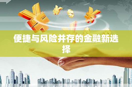 海兴便捷与风险并存的金融新选择