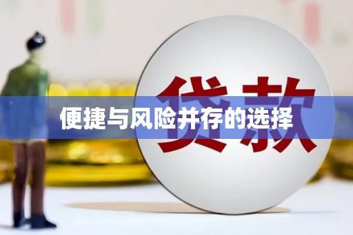 海兴便捷与风险并存的选择