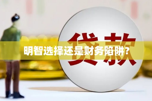海兴明智选择还是财务陷阱？