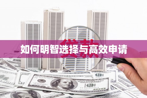 海兴如何明智选择与高效申请