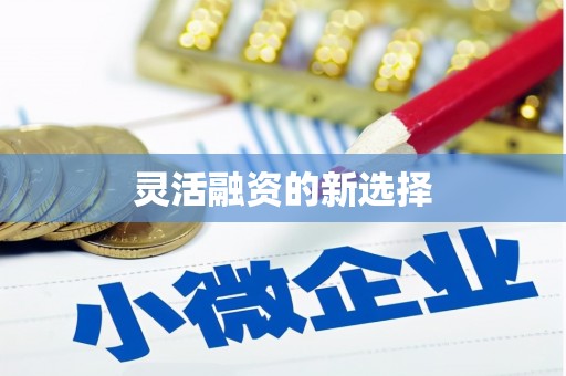 海兴灵活融资的新选择