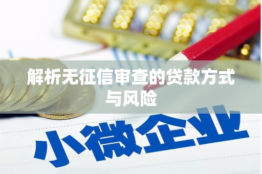 海兴解析无征信审查的贷款方式与风险