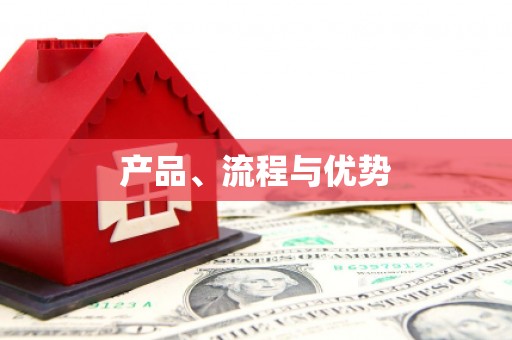 海兴产品、流程与优势