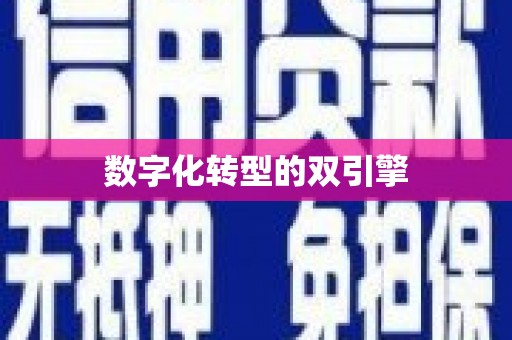 海兴数字化转型的双引擎