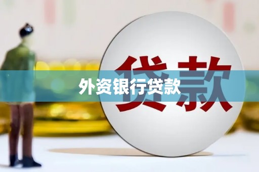 海兴外资银行贷款