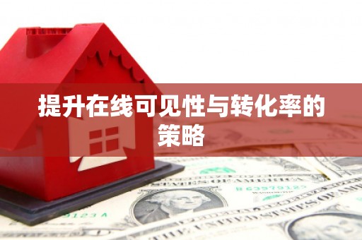 海兴提升在线可见性与转化率的策略