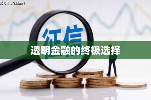 海兴透明金融的终极选择