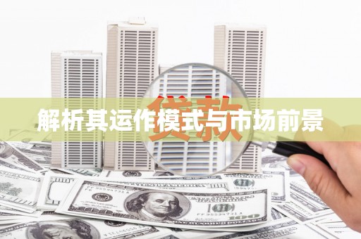 海兴解析其运作模式与市场前景