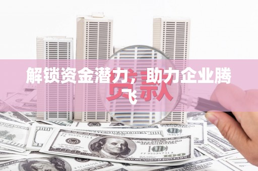 海兴解锁资金潜力，助力企业腾飞