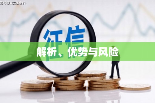 海兴解析、优势与风险