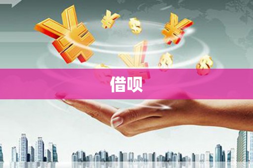海兴借呗