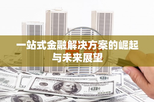 海兴一站式金融解决方案的崛起与未来展望