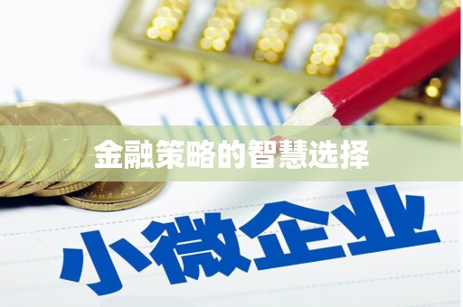 海兴金融策略的智慧选择