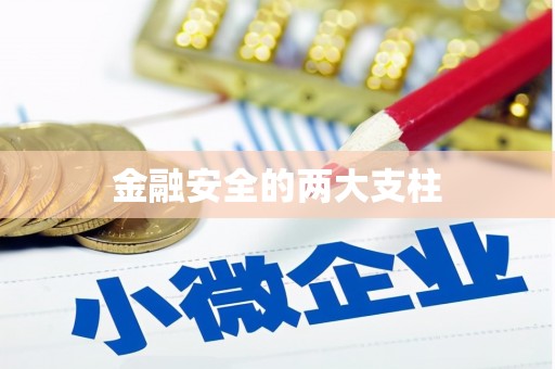 海兴金融安全的两大支柱