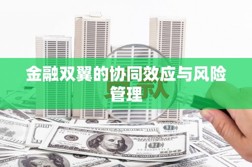 海兴金融双翼的协同效应与风险管理