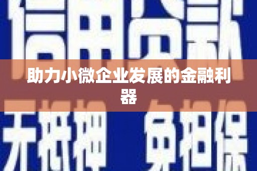海兴助力小微企业发展的金融利器