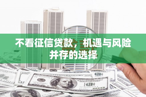 海兴不看征信贷款，机遇与风险并存的选择