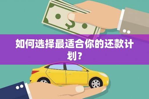 海兴如何选择最适合你的还款计划？