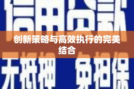 海兴创新策略与高效执行的完美结合