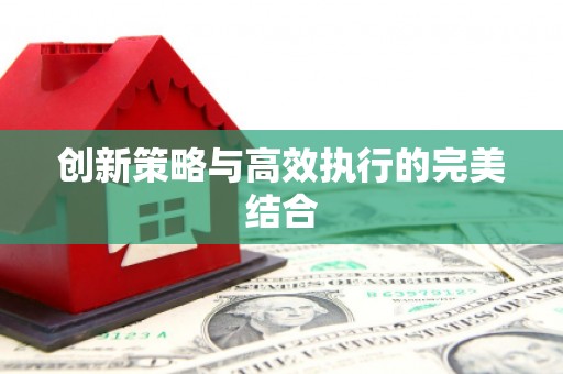 海兴创新策略与高效执行的完美结合