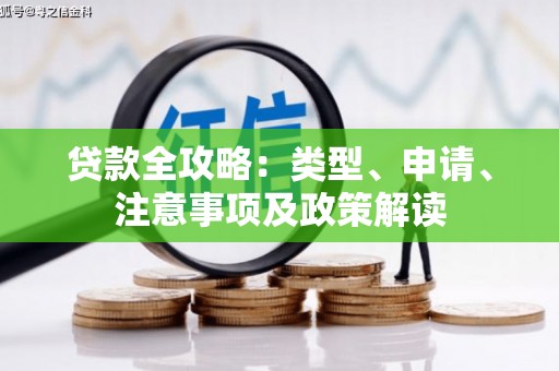 海兴贷款全攻略：类型、申请、注意事项及政策解读