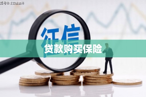 海兴贷款购买保险