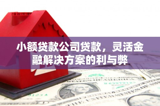 海兴小额贷款公司贷款，灵活金融解决方案的利与弊