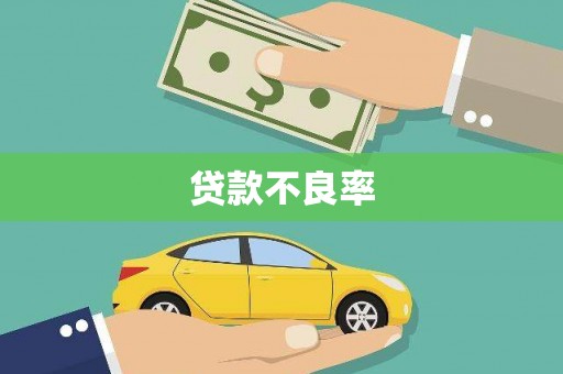 海兴贷款不良率