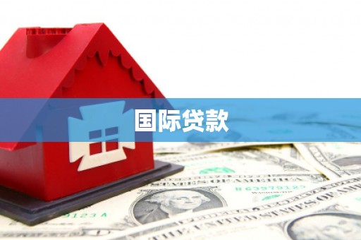 海兴国际贷款